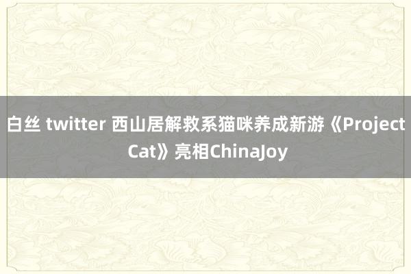 白丝 twitter 西山居解救系猫咪养成新游《Project Cat》亮相ChinaJoy