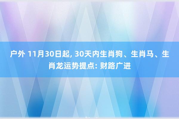 户外 11月30日起， 30天内生肖狗、生肖马、生肖龙运势提点: 财路广进