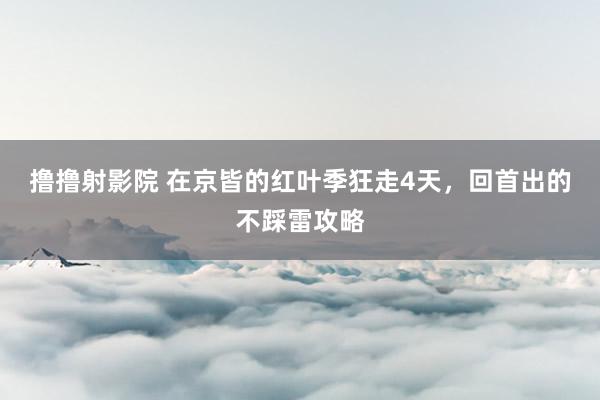 撸撸射影院 在京皆的红叶季狂走4天,回首出的不踩雷攻略