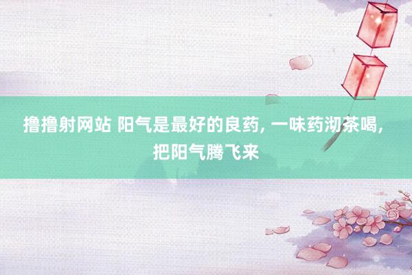 撸撸射网站 阳气是最好的良药， 一味药沏茶喝， 把阳气腾飞来