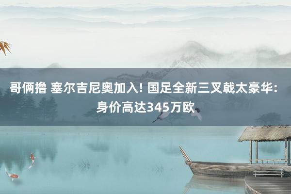 哥俩撸 塞尔吉尼奥加入! 国足全新三叉戟太豪华: 身价高达345万欧