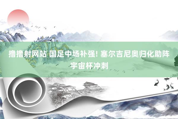 撸撸射网站 国足中场补强! 塞尔吉尼奥归化助阵宇宙杯冲刺